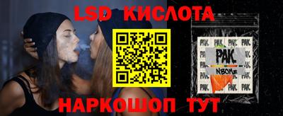 индика Партизанск
