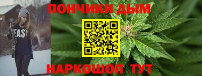 индика Партизанск