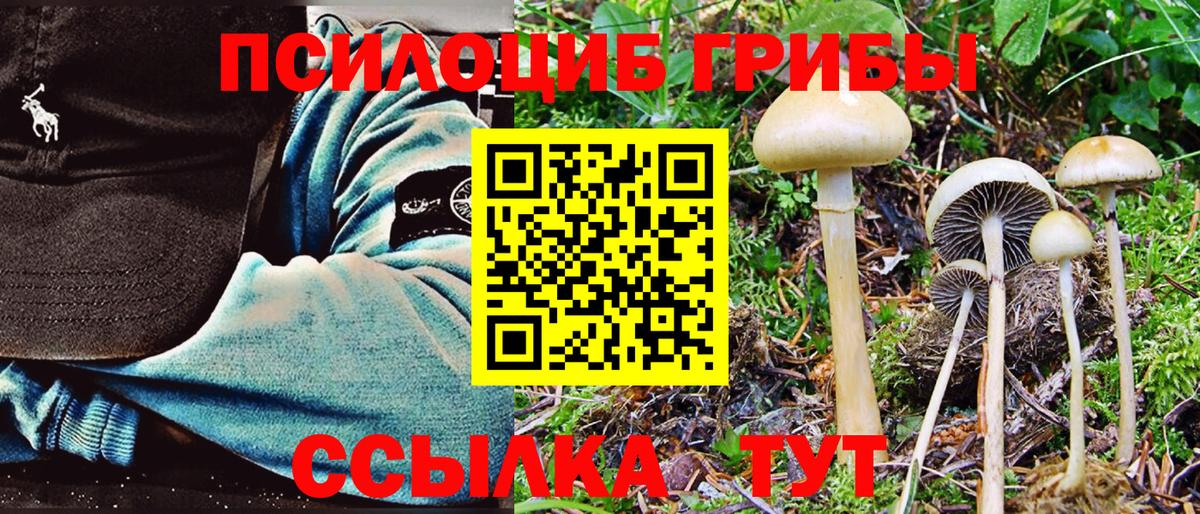 Псилоцибиновые грибы Psilocybine cubensis  Вход с VPN  магазин    Пугачёв 