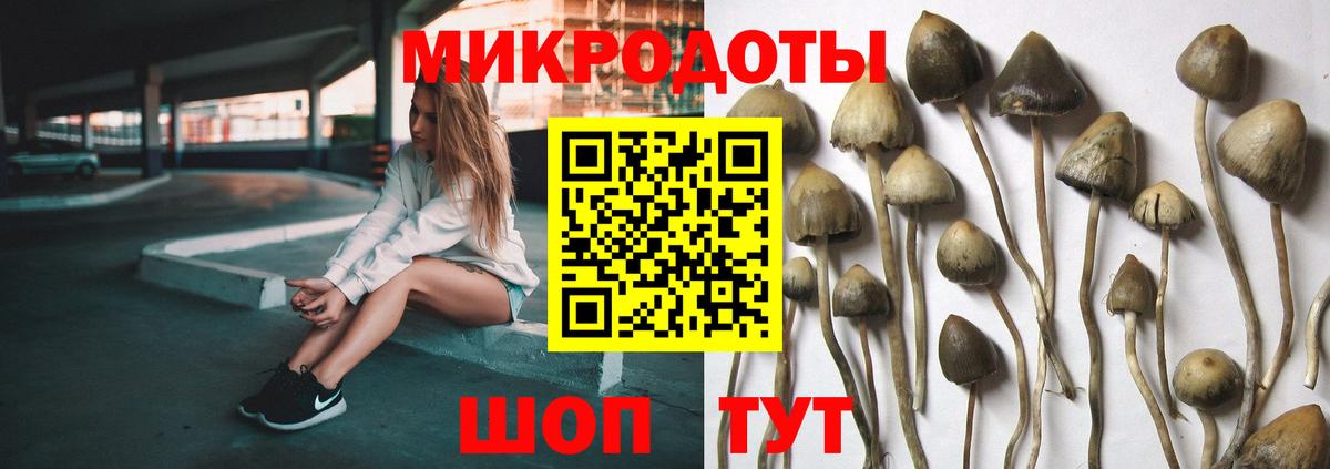 КОКАИН Пугачёв